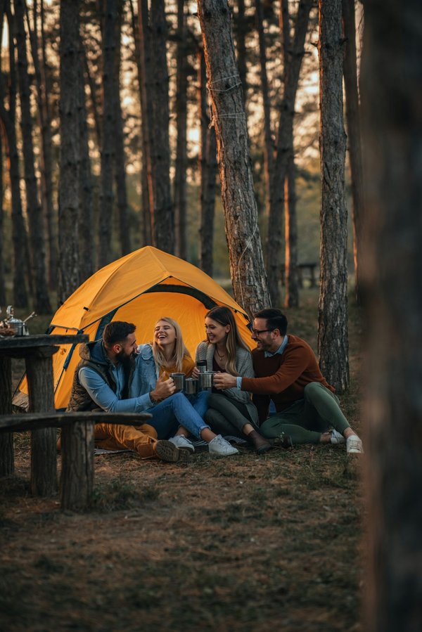 Découvrez le camping var l'artaudois: luxe et nature