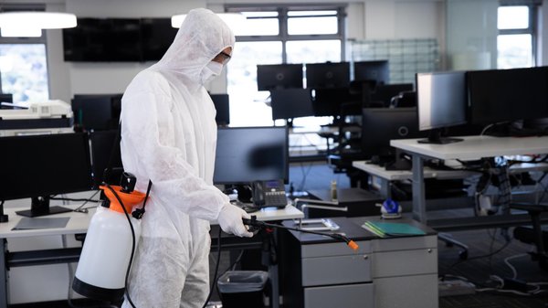 Dératisation : les solutions efficaces...